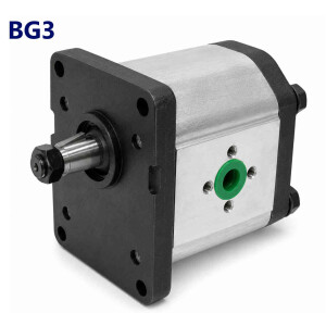 BG3