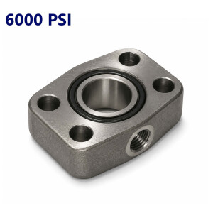 6000 PSI