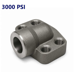 3000 PSI