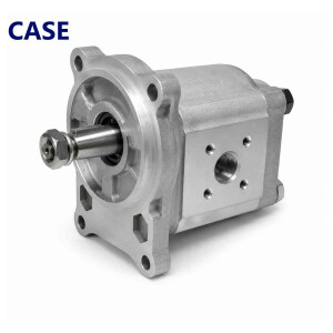CASE