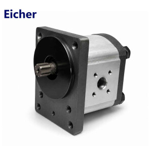 Eicher
