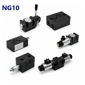 NG10