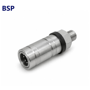 BSP