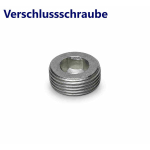Plug screw