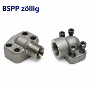 BSPP zöllig