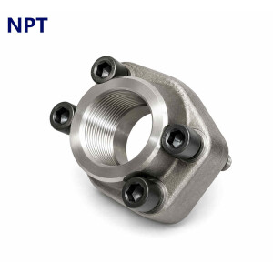 NPT