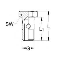 Technische Zeichnung einer Hohlaschraube mit Außengewinde und den Abmaßen SW L L1 und G