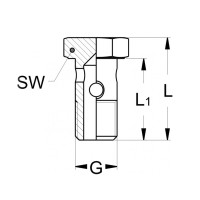 Technischezeichnung einer zölligen Hohlschraube mit den Abmaßen SW L1 L und G