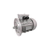 DSMSA 132 5,5kW 1450U/min B5