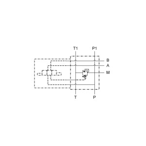 CAPDBV NG10 100L 320BAR