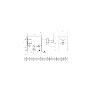 DBV-IG1/4" 20l/min 10-200bar AL