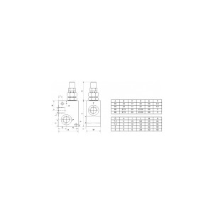 DBV-IG3/8" 35l/min 100-350 bar AL