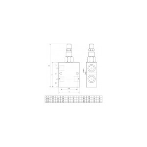 DBV-IG3/8" 45l/min 100-350bar ST