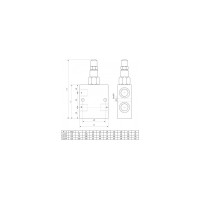 DBV-IG3/8" 45l/min 100-350bar ST